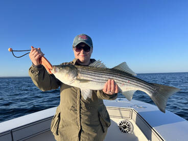 Dennis Report Photo 1