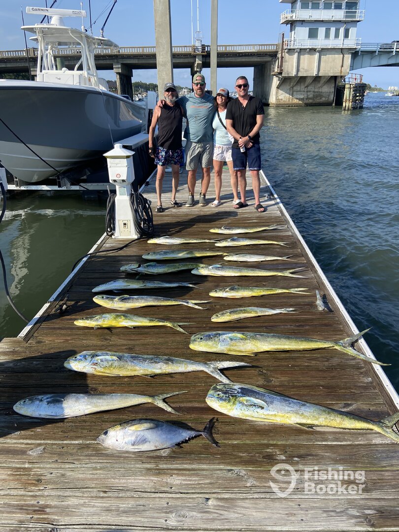 Wilmington Report Photo 0