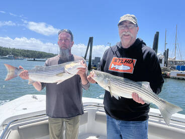 Summer in fulm swing!