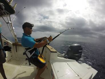 Marlin Blue Maio Island