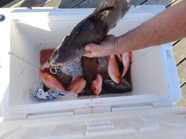 Bottom Fishing Offshore 