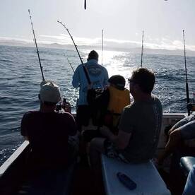 Cuvu Report Photo 2