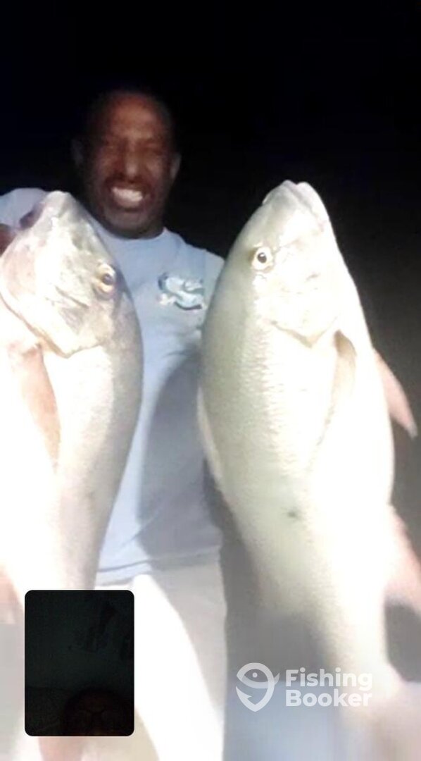 Evening fishing best time for those big snappers.