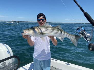 Shinnecock striped bass