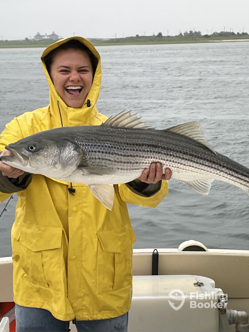 Hampton Bays Report Photo 0