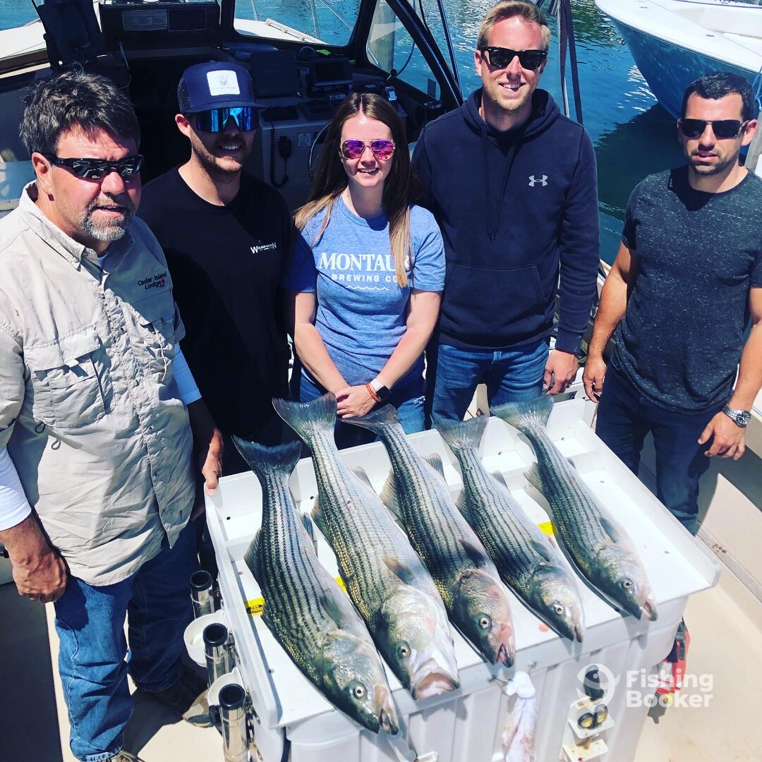 Hampton Bays Report Photo 0