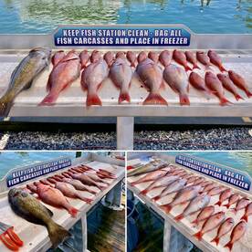 Shalimar Report Photo 2