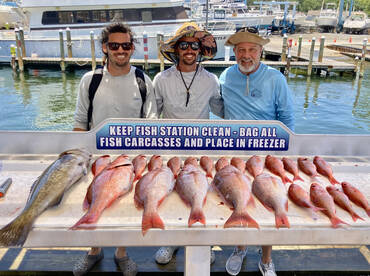 Shalimar Report Photo 1