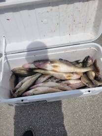 Lorain Report Photo 1