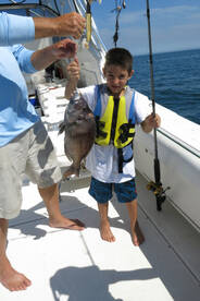 Montauk Report Photo 1