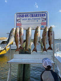 Biloxi Report Photo 1