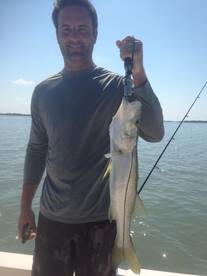 Fort Myers Beach Report Photo 1