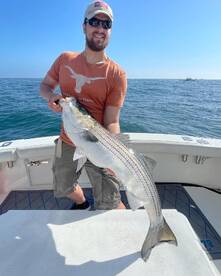 Stonington Report Photo 1