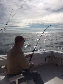 Montauk Report Photo 2