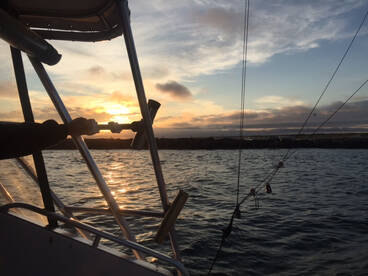 Montauk Report Photo 1