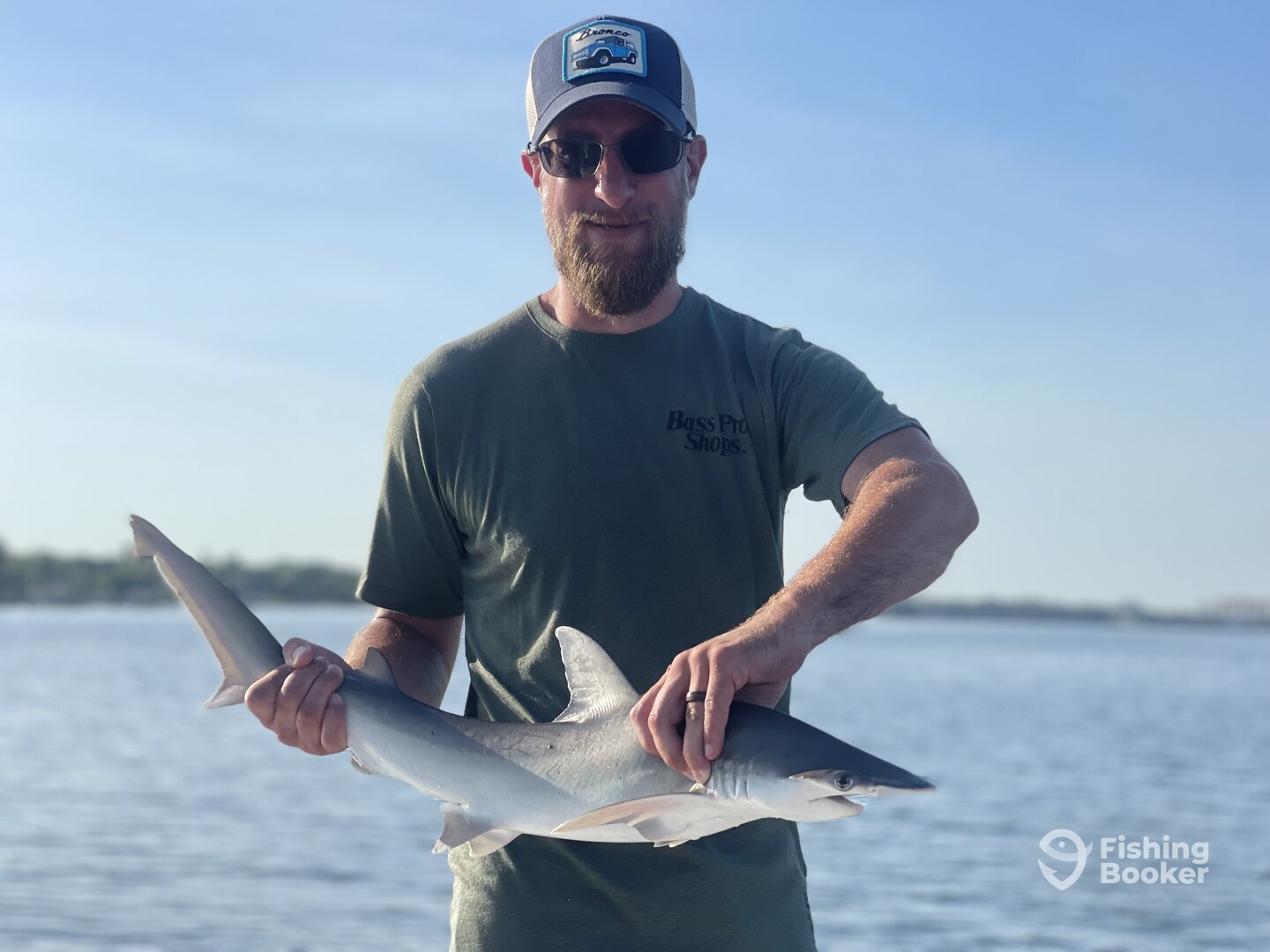 Sarasota Report Photo 0