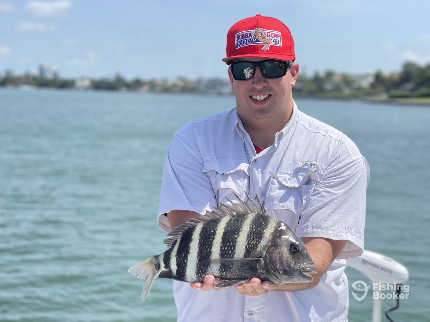 Sarasota Report Photo 0