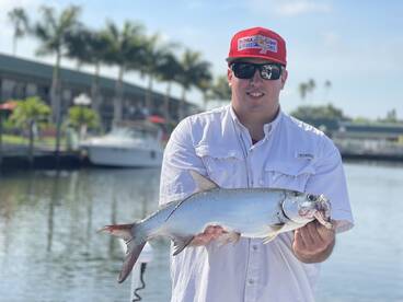 Sarasota Report Photo 1
