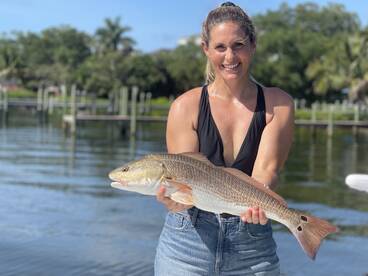 Sarasota Report Photo 2