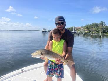 Sarasota Report Photo 1