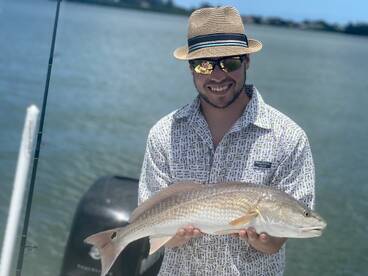 Sarasota Report Photo 2