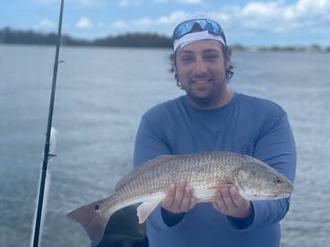 Sarasota Report Photo 1