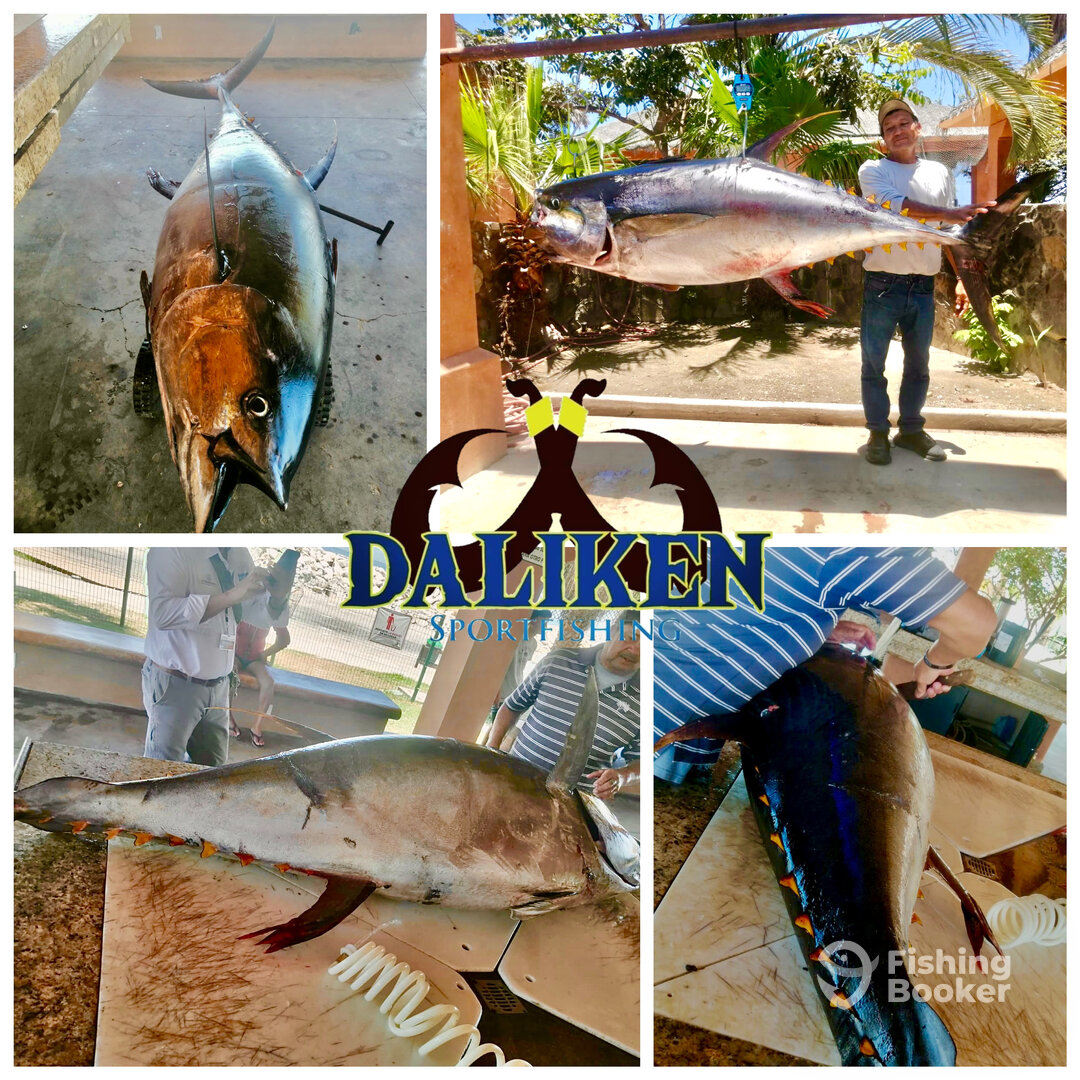 San Jose del Cabo Report Photo 0