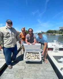 Corolla Report Photo 1