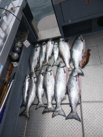 Salmon is getting hot