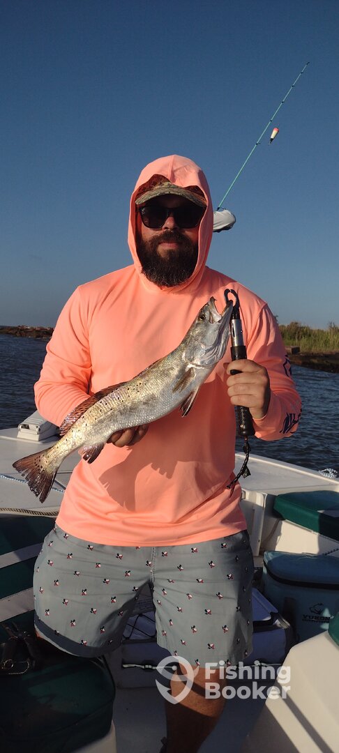 Texas City Report Photo 0