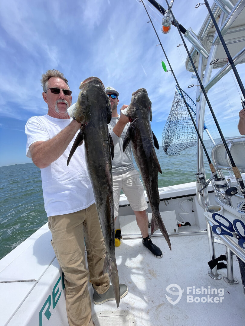 Virginia Beach Report Photo 0