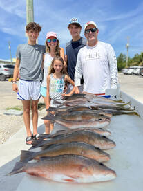 Mangrove snapper good bite this week 