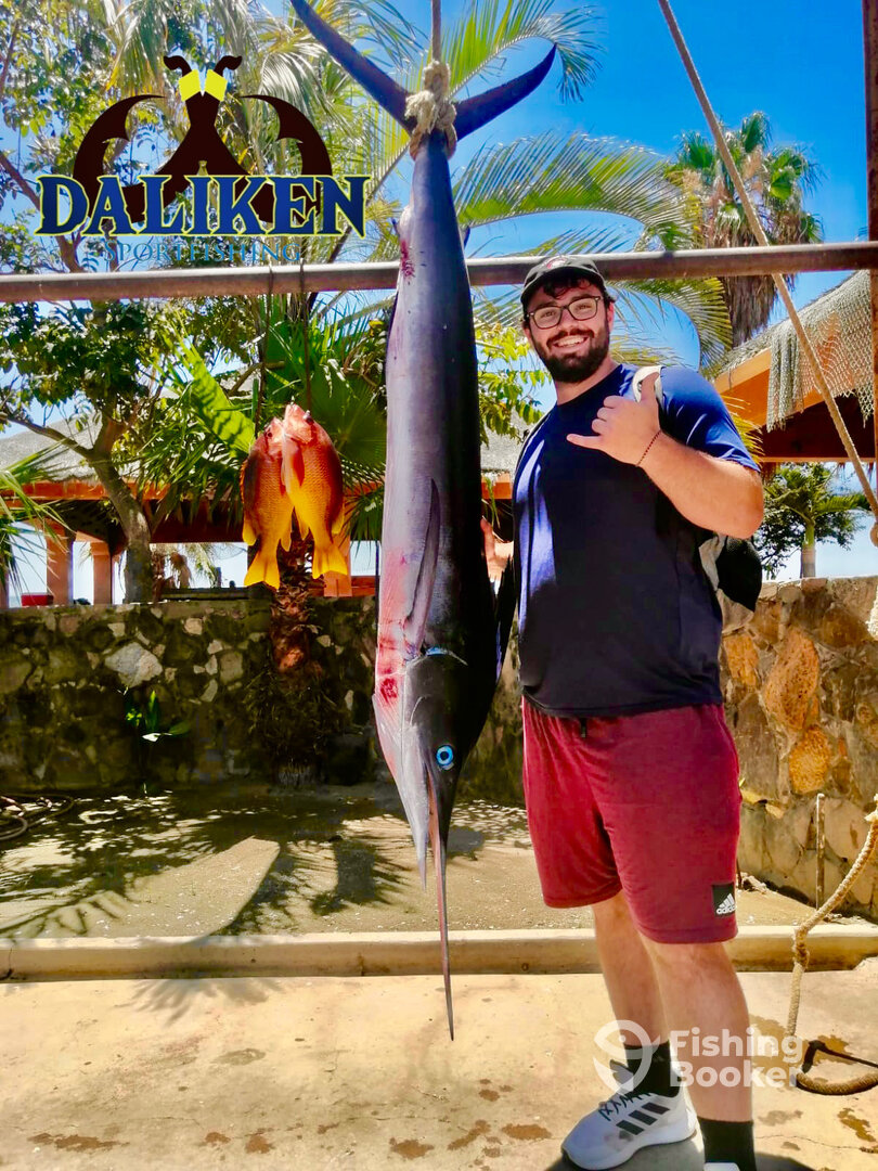 San Jose del Cabo Report Photo 0