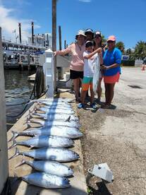 Dania Beach Report Photo 2