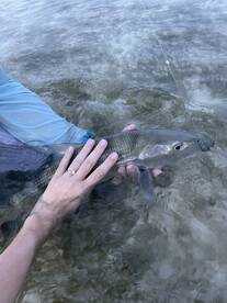 Homestead Report Photo 2