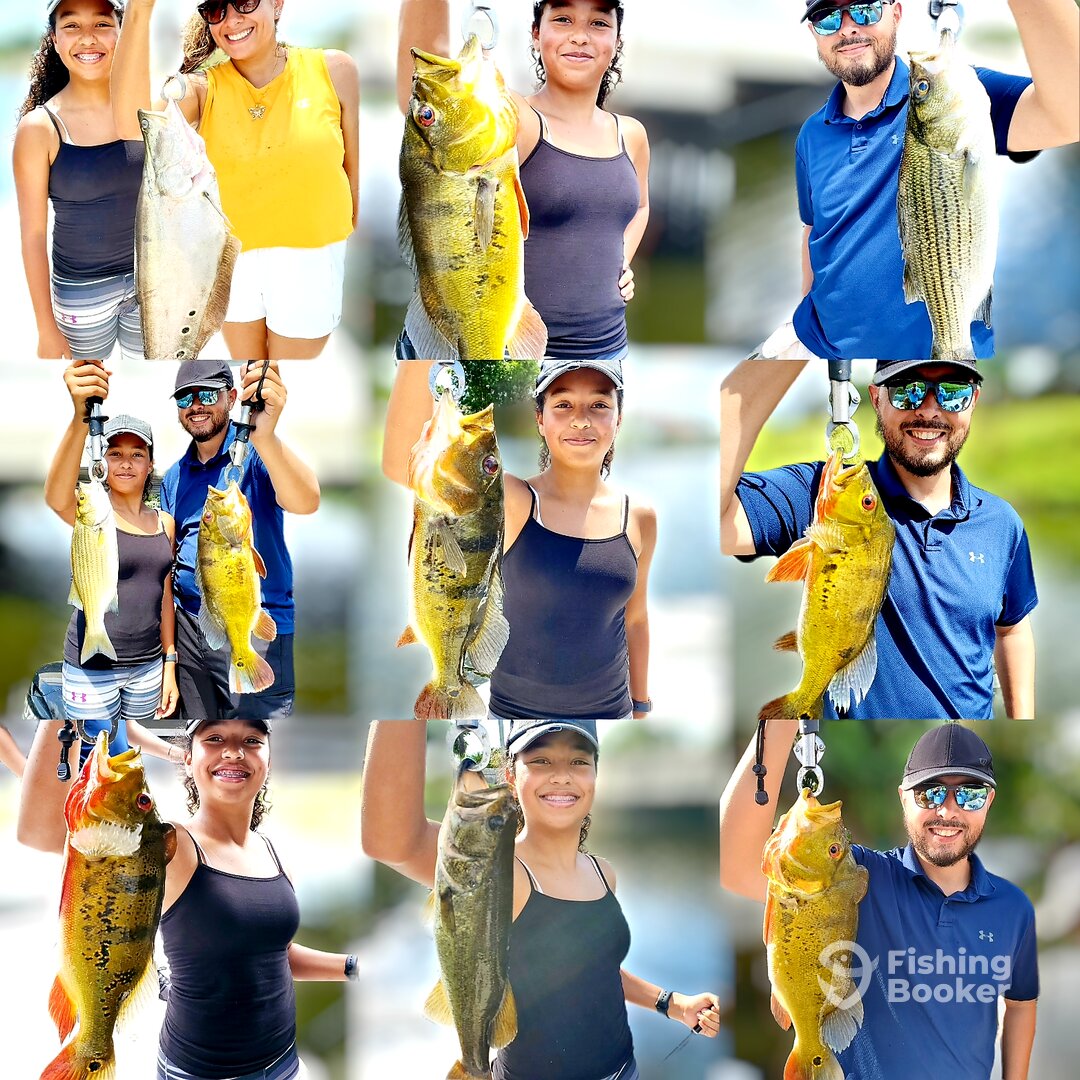 Delray Beach Report Photo 0