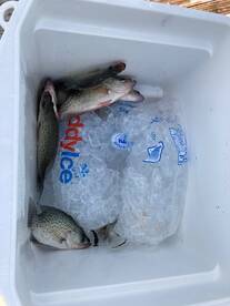 A good day but not epic