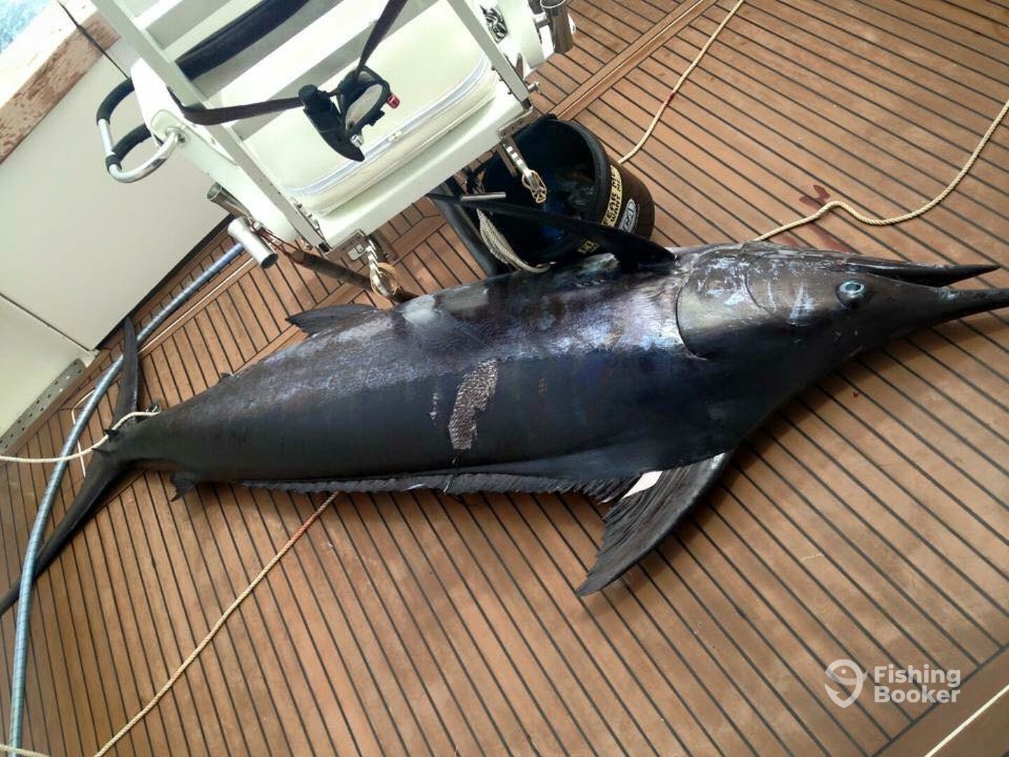 Port Vila Report Photo 0