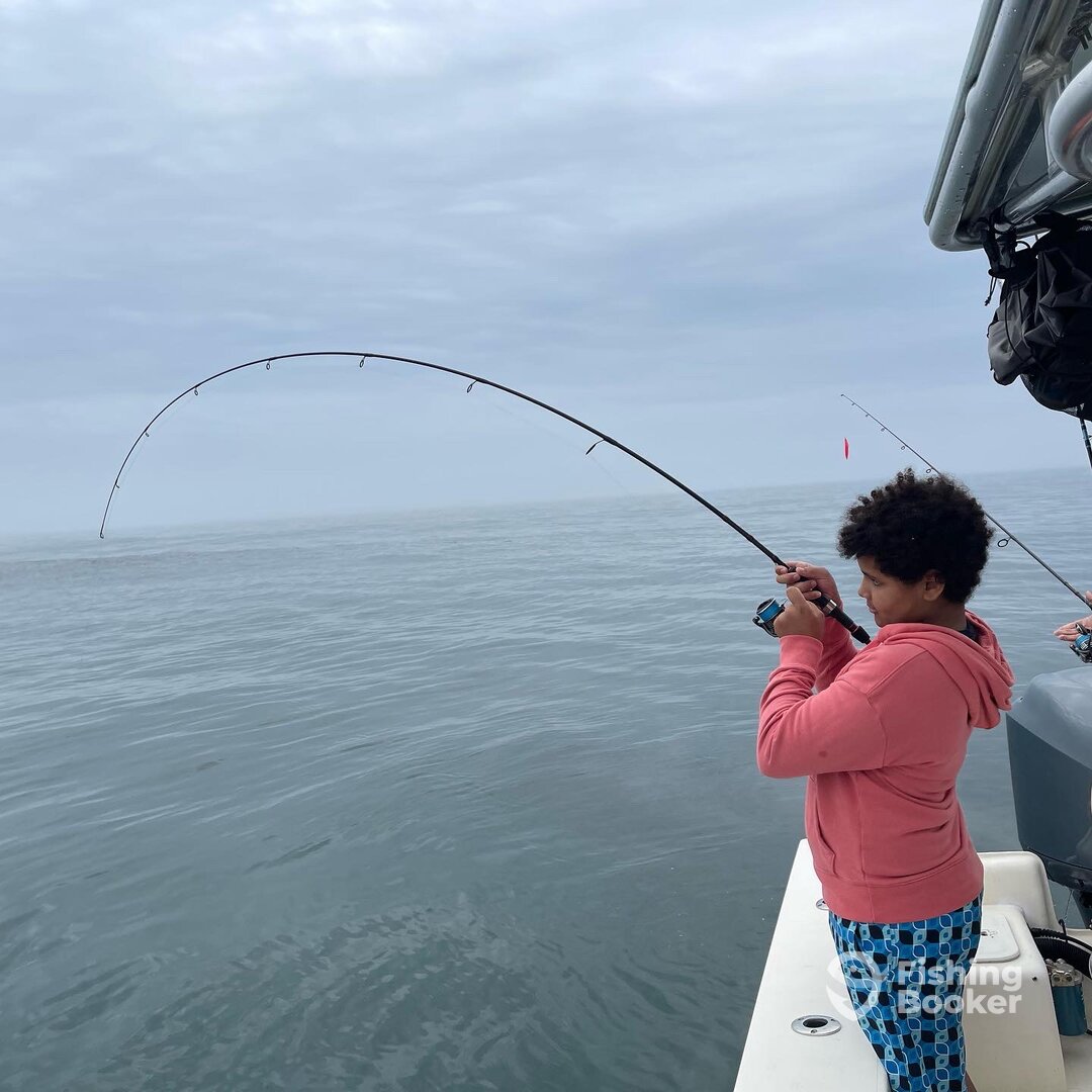Narragansett Report Photo 0