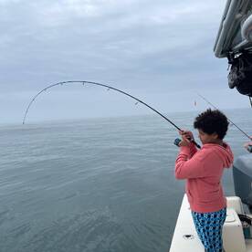 Bass and bluefish on fly and light spin 