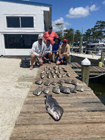 Wanchese Report Photo 2