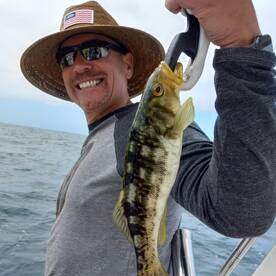 Dana Point Report Photo 1