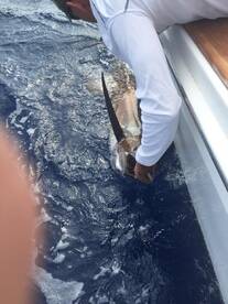 Tournament Time - PVGFC 2015