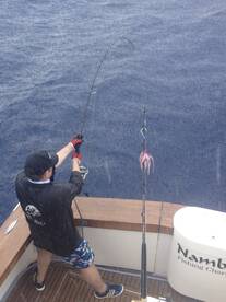 Rain or Shine the Marlin Still Bite!