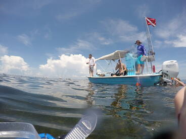 Crystal River Report Photo 1