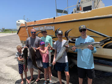 Cobia and Kingfish!!!