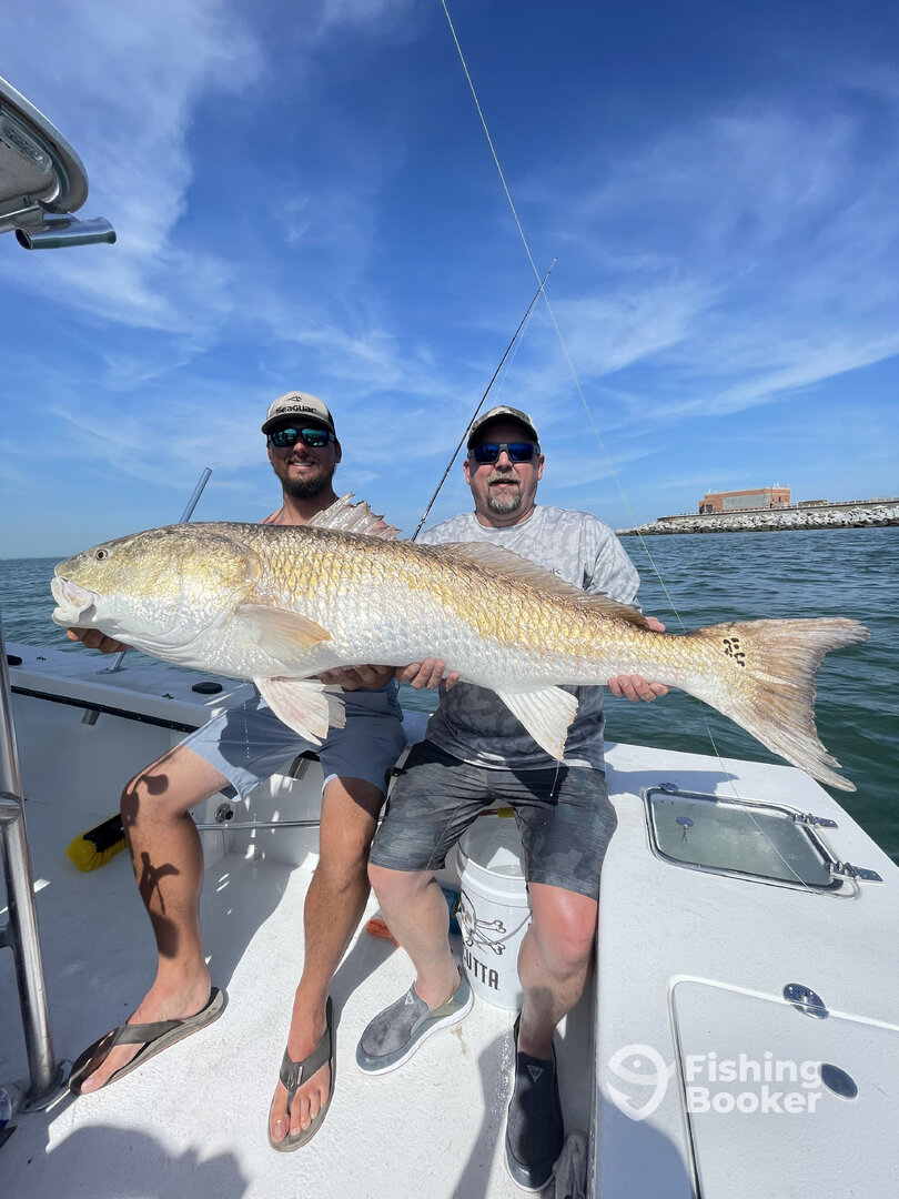 Virginia Beach Report Photo 0