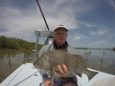 Key Largo Report Photo 1