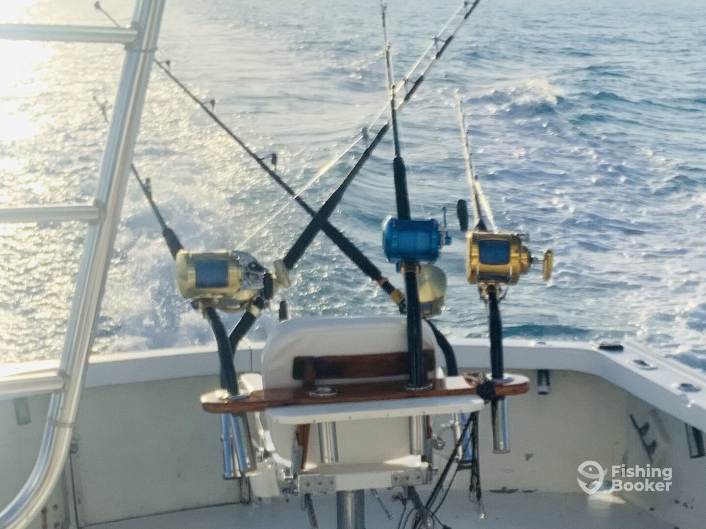 Sandys Report Photo 0