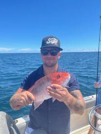 Red snapper bite